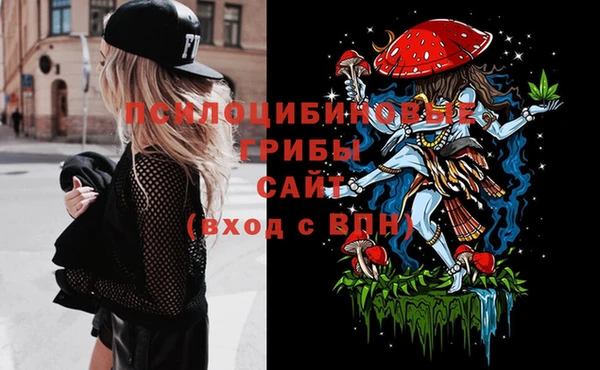 соль ск Навашино