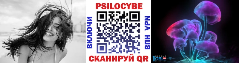 Псилоцибиновые грибы Magic Shrooms  Купить где  Краснозаводск 